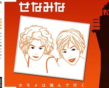 【中古】カモメは飛んで行く