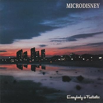 【中古】Everybody Is Fantastic