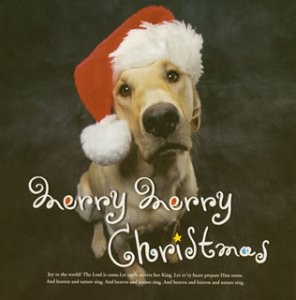 【中古】【未使用】Merry Merry Christmas