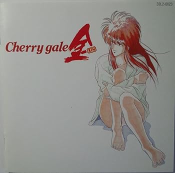 【中古】ちぇりーげーる金・疾風怒涛音楽編 16,560円