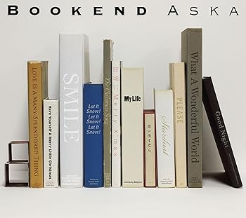 【中古】【未使用】Bookend