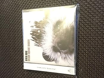 【中古】【未使用】CIDER ROAD(サイダーロード) 初回限定盤CD+DVD