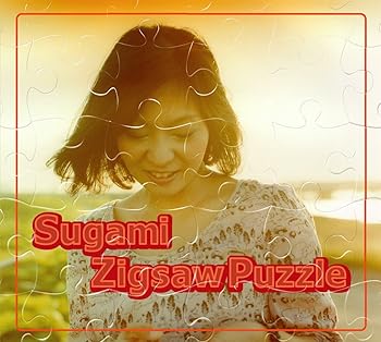 【中古】【未使用】Zigsaw Puzzle 8,477円