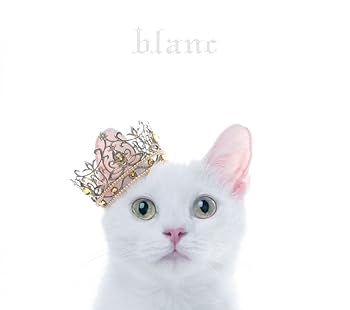 【中古】【未使用】BEST SELECTION “blanc\