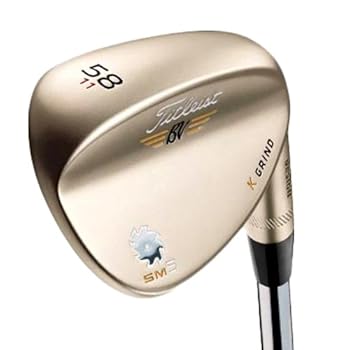 【中古】TITLEIST(タイトリスト) ボーケイ・デザイン SM5ウェッジ ゴールドニッケル NSプロ950GH シャフト 5614F VS5GR
