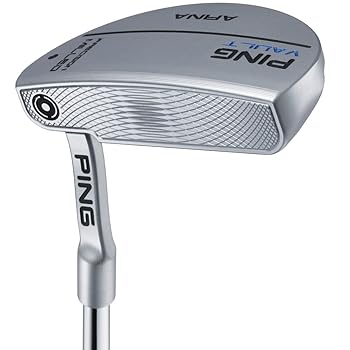 【中古】PING(ピン) VAULT ARNA Platinum オリジナルスチールPP58[34]｜AJIMURA-SHOP