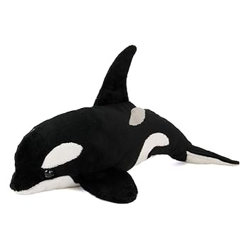 【中古】【未当て嵌める】カロラータ 鯱 ぬいぐるみ (24×17×35糎) 分かりやすい肌ざわり 本当の (鯱のぬいぐるみ) 手あそび あやつり人形 マスコット 生まれ落ちる日 差し上げ物 提示