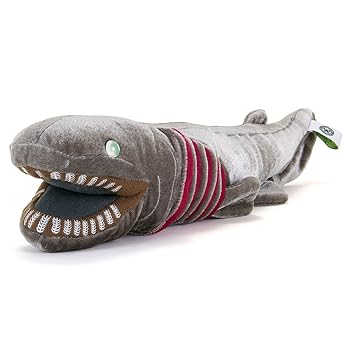 【中古】カロラータ ラブカ ぬいぐるみ (50×12×8.5糎) 分かりやすい肌ざわり 本当の/海の毛の荒物 深海魚 (あやつり人形 マスコット) 差し上げ物 差し上げ物 生まれ落ちる日 (検針2度