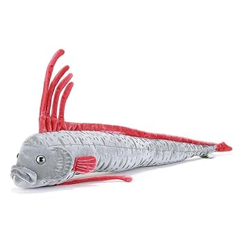 【中古】【未当て嵌める】カロラータ リュウグウノツカイ ぬいぐるみ (61×10×21糎) 分かりやすい肌ざわり 本当の (魚のぬいぐるみ) あやつり人形 マスコット/生まれ落ちる日 差し上げ物 差し上げ物