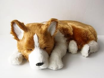 【中古】ニニアンドキノ パーフェクトペット (大サイズ) コーギー ぬいぐるみ 犬 いぬ イヌ リアル 本物 そっくり 雑貨 動物 アニマル 癒し 動く プレゼ|AJIMURA-SHOP