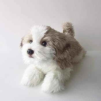【中古】ニニアンドキノ ぬいぐるみ 犬 リアル 寝そべりわんこ 全長約40cm ペット (シーズー)｜AJIMURA-SHOP