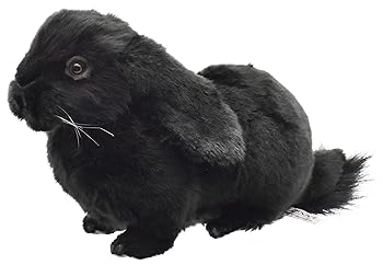 【中古】【未当て嵌める】BH8142 HANSA ホーランドロップ 黒いこと ３３