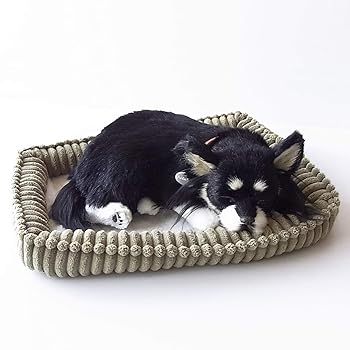 【中古】【未使用】ニニアンドキノ パーフェクトペット (小サイズ) チワワ ロング (ブラックタン) ぬいぐるみ 犬 いぬ イヌ リアル 本物 そっくり 雑貨 動物 アニマ 15,092円