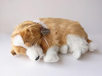 【中古】ニニアンドキノ パーフェクトペット (小サイズ) シェルティ (コリー) ぬいぐるみ 犬 いぬ イヌ リアル 本物 そっくり 雑貨 動物 アニマル 癒し｜AJIMURA-SHOP