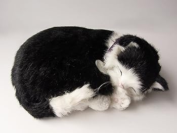 【中古】【未使用】ニニアンドキノ パーフェクトペット (小サイズ) 白黒猫 ぬいぐるみ 猫 ねこ ネコ リアル 本物 そっくり 雑貨 動物 アニマル 癒し 動く プレゼン