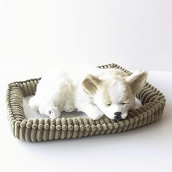 【中古】【未使用】ニニアンドキノ パーフェクトペット (小サイズ) チワワ スムース ぬいぐるみ 犬 いぬ イヌ リアル 本物 そっくり 雑貨 動物 アニマル 癒し 動く