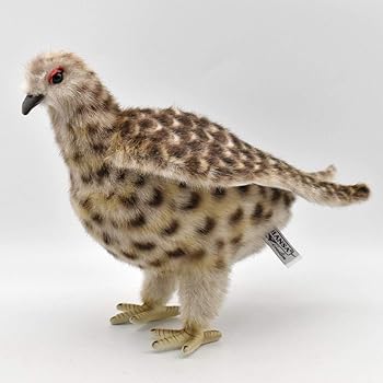 【中古】BH7647 HANSA 雷鳥 夏 ２８