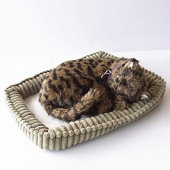 【中古】【未使用】ニニアンドキノ パーフェクトペット (小サイズ) キジトラ猫 ぬいぐるみ 猫 ねこ ネコ リアル 本物 そっくり 雑貨 動物 アニマル 癒し 動く プレ 15,954円