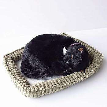 【中古】ニニアンドキノ パーフェクトペット (小サイズ) 黒猫 ぬいぐるみ 猫 ねこ ネコ リアル 本物 そっくり 雑貨 動物 アニマル 癒し 動く プレゼント|AJIMURA-SHOP