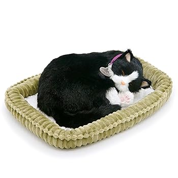 【中古】【未使用】ニニアンドキノ パーフェクトペット (小サイズ) ハチワレ猫 ぬいぐるみ 猫 ねこ ネコ リアル 本物 そっくり 雑貨 動物 アニマル 癒し 動く プレ 15,308円
