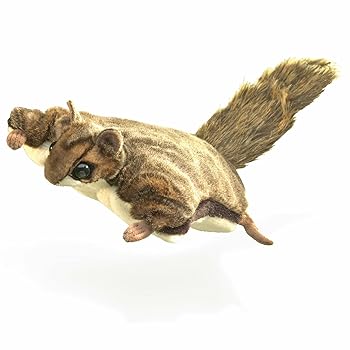 【中古】【未当て嵌める】ムササビ パ愛玩動物