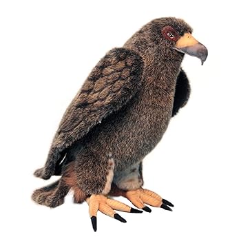 【中古】イヌワシ No4487｜AJIMURA-SHOP 20,905円