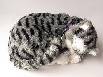 【中古】【未使用】ニニアンドキノ パーフェクトペット (小サイズ) サバトラ猫 ぬいぐるみ 猫 ねこ ネコ リアル 本物 そっくり 雑貨 動物 アニマル 癒し 動く プレ 16,170円