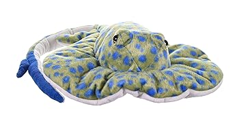 【中古】【未当て嵌める】ワイルドリパブリック 海洋博物館続きもの ルリホシエイ ぬいぐるみ W30×Ｄ75×Ｈ9糎 やわらかい原材料 22468