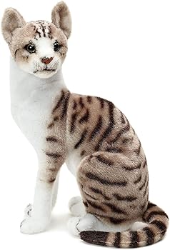 【中古】Tiger Tale Toys (タイガーテールトイズ) ねこ 猫 ぬいぐるみ リアル 35センチ ペット ネコ キャット CAT かわいい 女の子 男の子 (アメリカンシ｜AJIMURA-SHOP