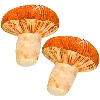 【中古】【未使用】しいたけ ぬいぐるみ きのこ 小さい 2個セット 国内20cm【現品撮影】