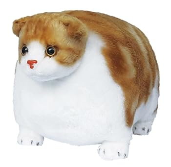 【中古】先んじる ふとっちぃZoo にゃんこ ぬいぐるみ スコティッシュフォールド