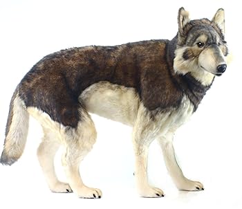 【中古】【未当てはめる】シンリン狼 No.5496