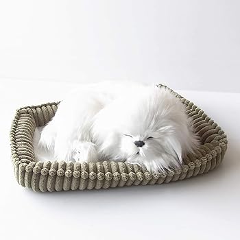 【中古】【未使用】ニニアンドキノ パーフェクトペット (小サイズ) マルチーズ ぬいぐるみ 犬 いぬ イヌ リアル 本物 そっくり 雑貨 動物 アニマル 癒し 動く プレ 15,308円