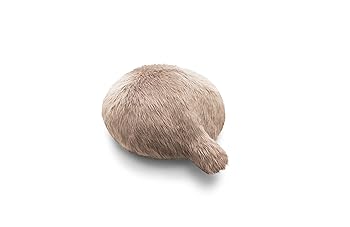 【中古】ユカイ プチキューボ マロン(赤銅色) / 人造人間愛玩動物/人造人間枕/しっぽ/座布団/毛革/インタラクティブペットロボット/生きている毛の荒物