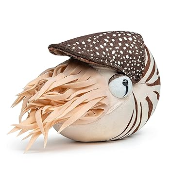 【中古】リアルなノーチラス ぬいぐるみ - シミュレーション 本物そっくり 8インチ ノーチラス 詰め物 動物おもちゃ ソフト 海の生き物 ユニークなぬいぐ