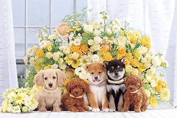 【中古】1000ピース ジグソーパズル めざせパズルの達人 キュートフラワー(50x75cm)|AJIMURA-SHOP