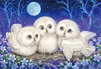 【中古】【未使用】1000ピース ジグソーパズル 森のささやき ~Owl Triplets~
