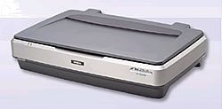 【中古】 EPSON エプソン Offirio フラットベッドスキャナー ES-10000G 2400dpi CCD検出器 A3相応う 網状組織判定基準相応う