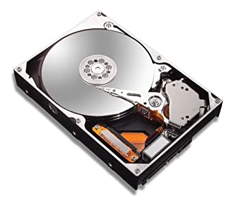 【中古】 Maxtor DiamondMax 10?160?GB SATA / 150?7200rpm 8?MB捉え所のない運転