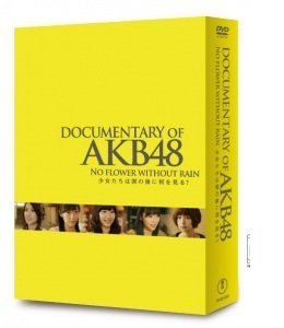 【中古】 DOCUMENTARY OF AKB48 NO FLOWER WITHOUT RAIN 少女たちは涙の後に何を見る? コンプリートDVD-BOX【DVD4枚組】 7,890円