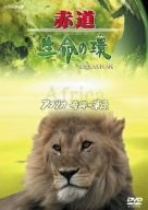 【中古】 赤道 生命の環 アフリカ 奇跡の草原 [DVD]