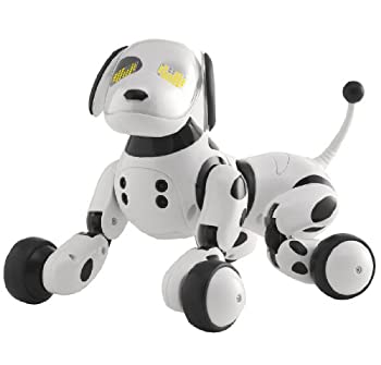 【中古】 Omnibot Hello! Zoomer｜AJIMURA-SHOP