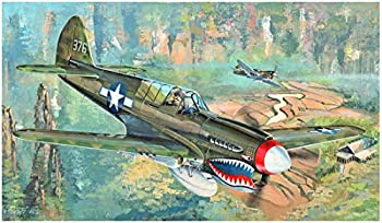 【中古】 トランペッター 1/32 P-40N ウォーホーク プラモデル 02212|AJIMURA-SHOP