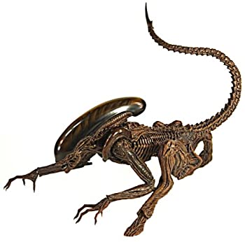 エイリアン フェイスハガー ソフビ 1/1 ツクダホビー エイリアン フィギュア フェイスハガー P V C ソフビ ツクダ