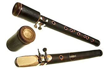 【中古】 xaphoon バンブーサックス