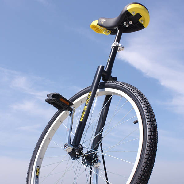 楽天市場】【競技用一輪車】ミヤタエキスパート(24インチ)日本