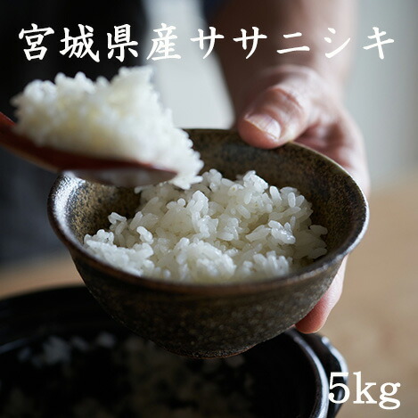 berry✿*゜　ササニシキ10キロ 楽天市場】ササニシキ 10kg（品種（米）ササニシキ）（白米｜米・雑穀
