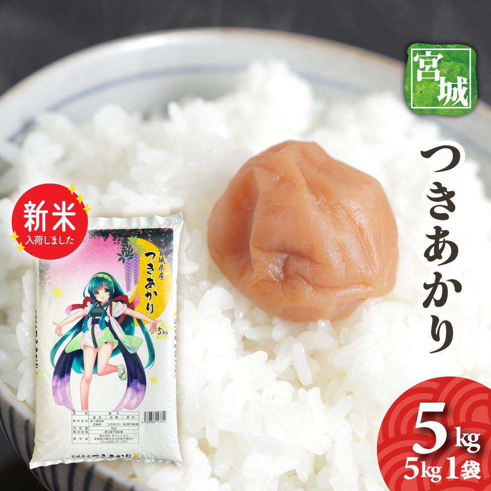 楽天市場】新米 令和7年産 宮城県産 ひとめぼれ 10kg 5kg2袋