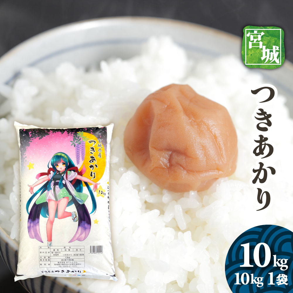 令和6年収穫新米　10キロ　宮崎県都城産 お米 米 10kg 白米 送料無料 宮崎県産 あきたこまち 新米 令和7