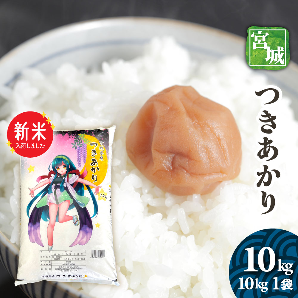楽天市場】新米 令和7年産 宮城県産 ササニシキ 5kg 送料無料 お